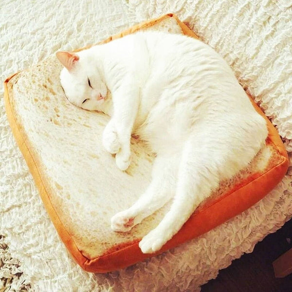 Cat bread on sale slice