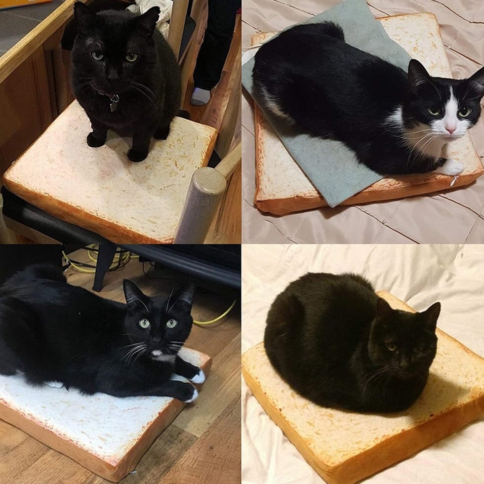 Slice of White Bread Pet Cat Dog Bed - Kawaiies - Adorable - Cute - Plushies - Plush - Kawaii