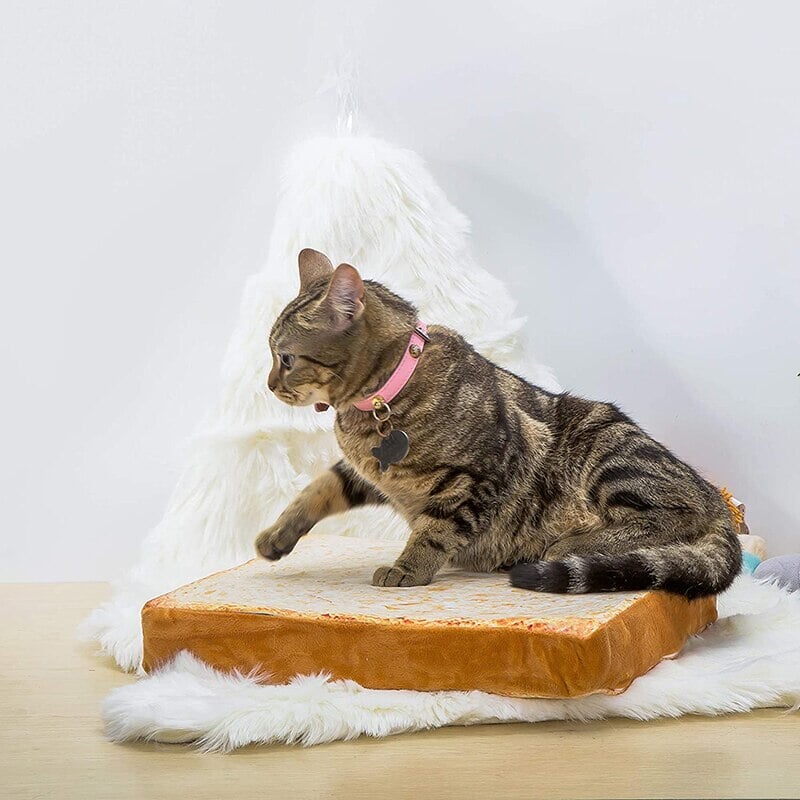 Slice of White Bread Pet Cat Dog Bed - Kawaiies - Adorable - Cute - Plushies - Plush - Kawaii