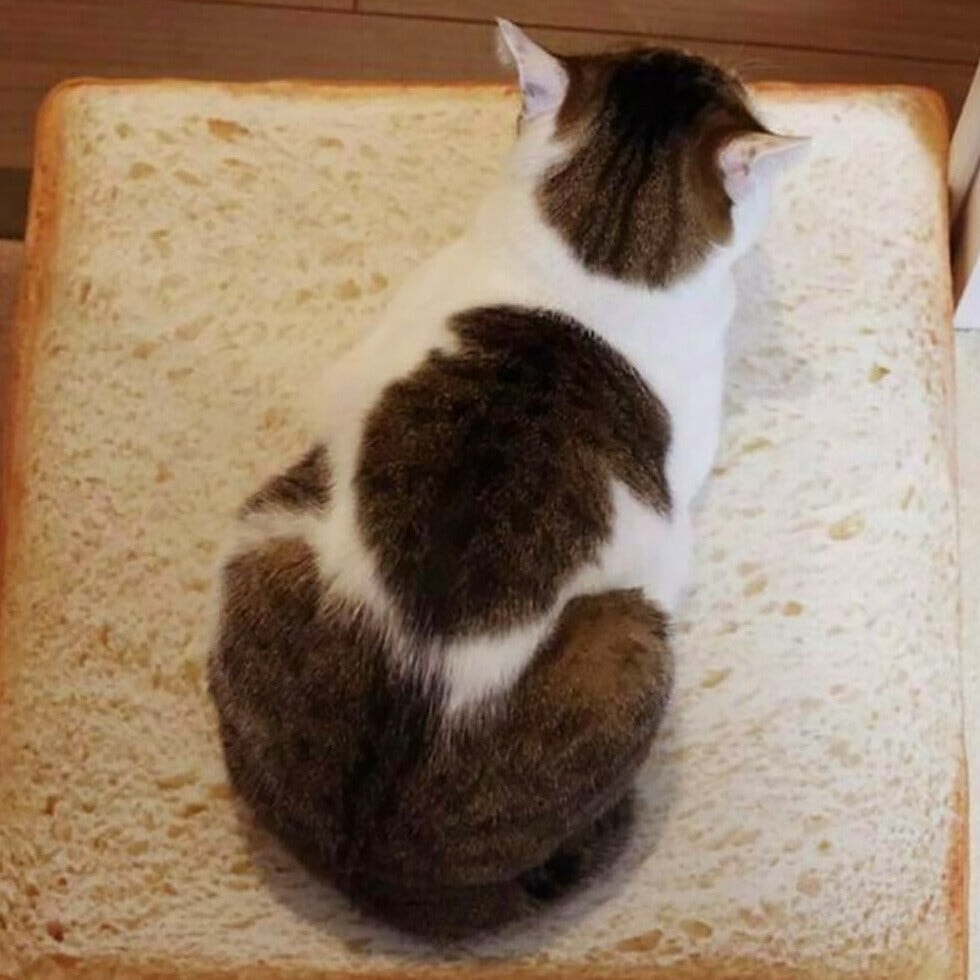 Slice of White Bread Pet Cat Dog Bed - Kawaiies - Adorable - Cute - Plushies - Plush - Kawaii