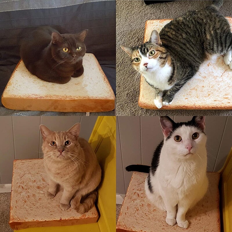 Slice of White Bread Pet Cat Dog Bed - Kawaiies - Adorable - Cute - Plushies - Plush - Kawaii