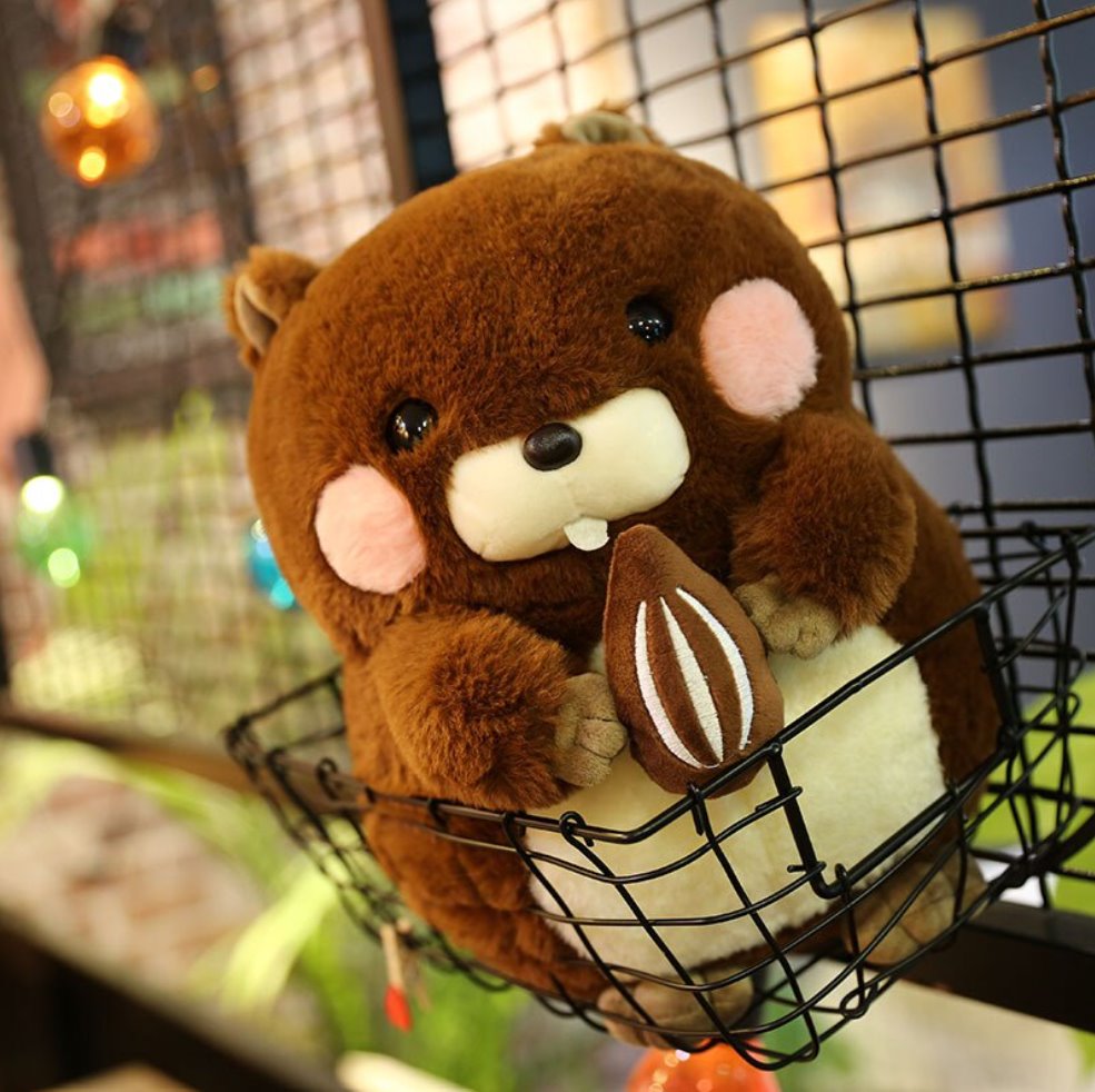 Snacking Beaver Plushies | LIMITED STOCK - Kawaiies - Adorable - Cute - Plushies - Plush - Kawaii