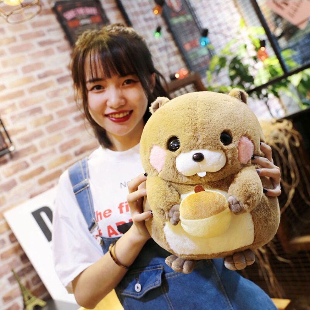 Snacking Beaver Plushies | LIMITED STOCK - Kawaiies - Adorable - Cute - Plushies - Plush - Kawaii