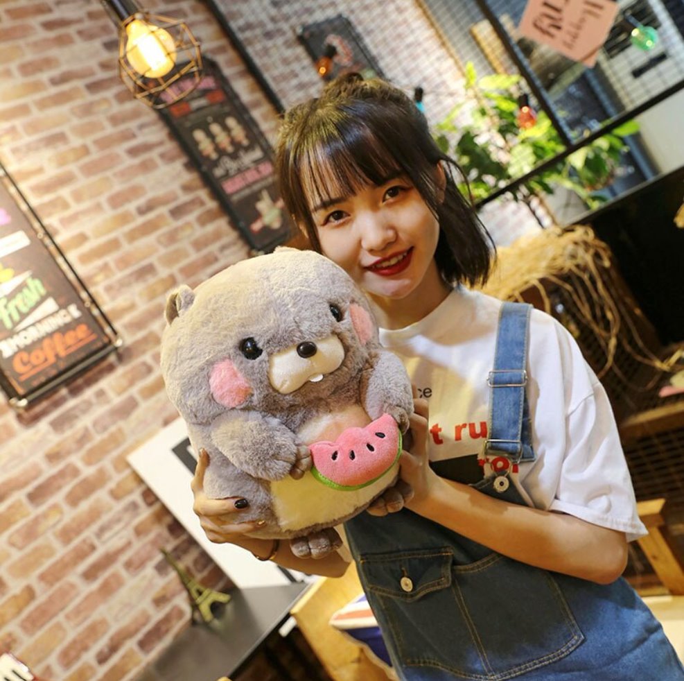 Snacking Beaver Plushies | LIMITED STOCK - Kawaiies - Adorable - Cute - Plushies - Plush - Kawaii