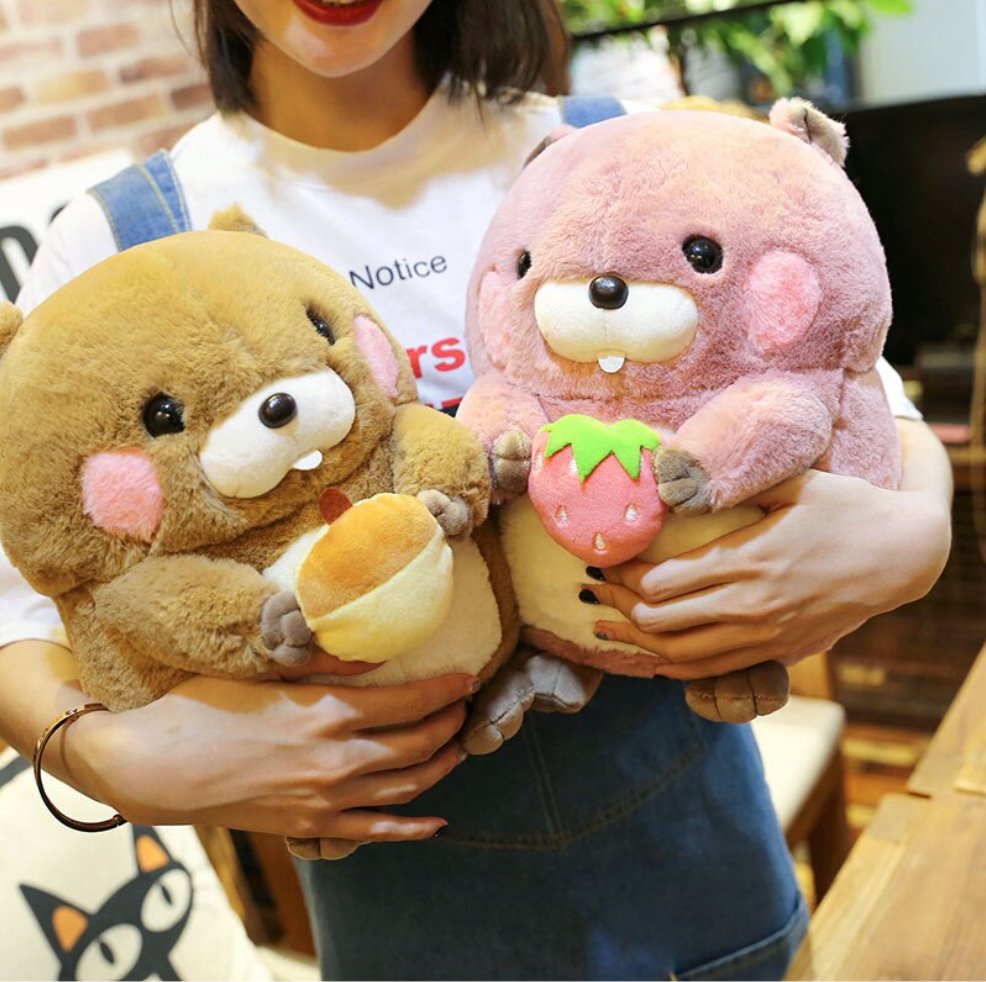 Snacking Beaver Plushies | LIMITED STOCK - Kawaiies - Adorable - Cute - Plushies - Plush - Kawaii