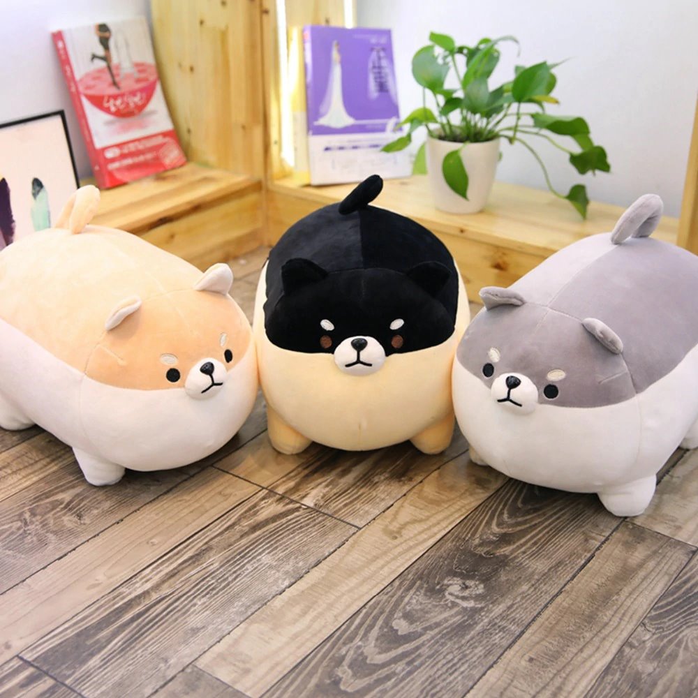 The Angry Shiba Trio - Kawaiies - Adorable - Cute - Plushies - Plush - Kawaii