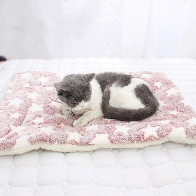 Soft sales cat blanket