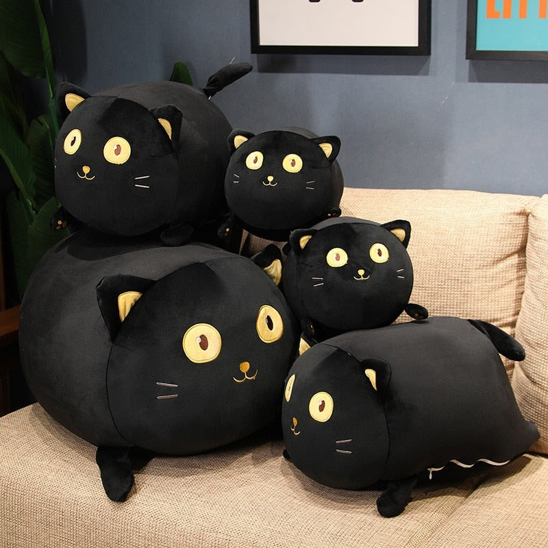 Willy the Wide Eye Black Cat Plush - Kawaiies - Adorable - Cute - Plushies - Plush - Kawaii